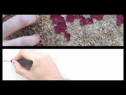 A Copy For Collapse - Lost In Decay (Official Video)