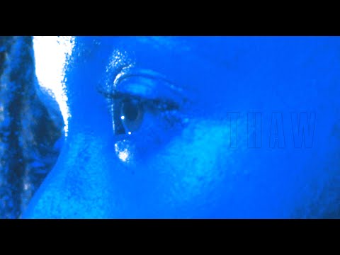 Amiture - Thaw (Video Mix)
