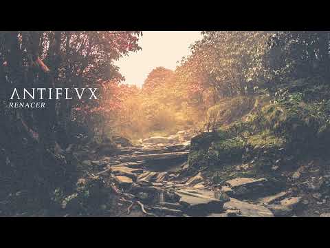 ANTIFLVX - Renacer