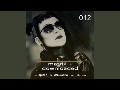 Schmerz (Rough Mix)
