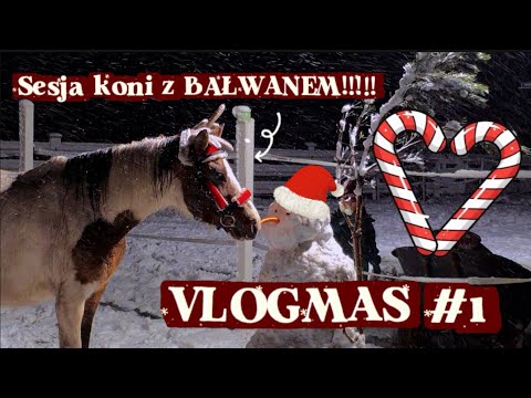VLOGMAS #1  / LEPIMY BAŁWANA Z KOŃMI❄️