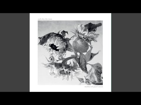 Valdrada