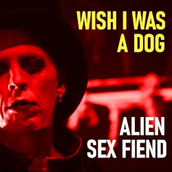 Wish I Was a Dog