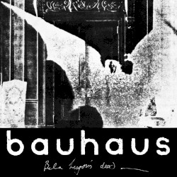 The Bela Session