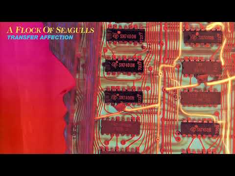 A Flock Of Seagulls - Transfer Affection - Official Audio
