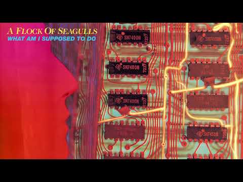 A Flock Of Seagulls - What Am I Supposed To Do - Official Audio